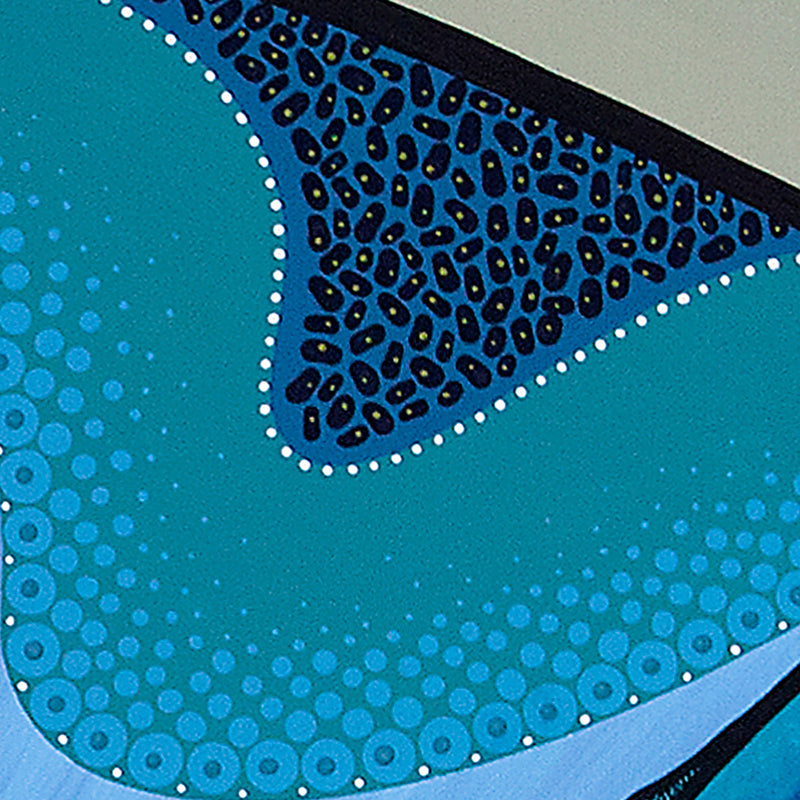 Australian Indigenous Classroom Rugs, Carpets & Mats