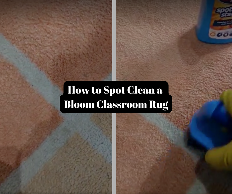 Clean Bloom Care Instructions – Bloom Classroom