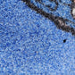 close up of outdoor mat with drainage holes 