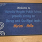 Custom Welcome Mats / Hall Runners / Classroom Mats